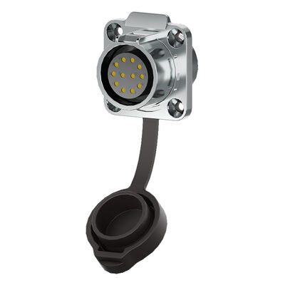 IP68 Waterproof PA66 Nylon Overmolded Cable Connector with 250V Operating Voltage for Industrial Applications